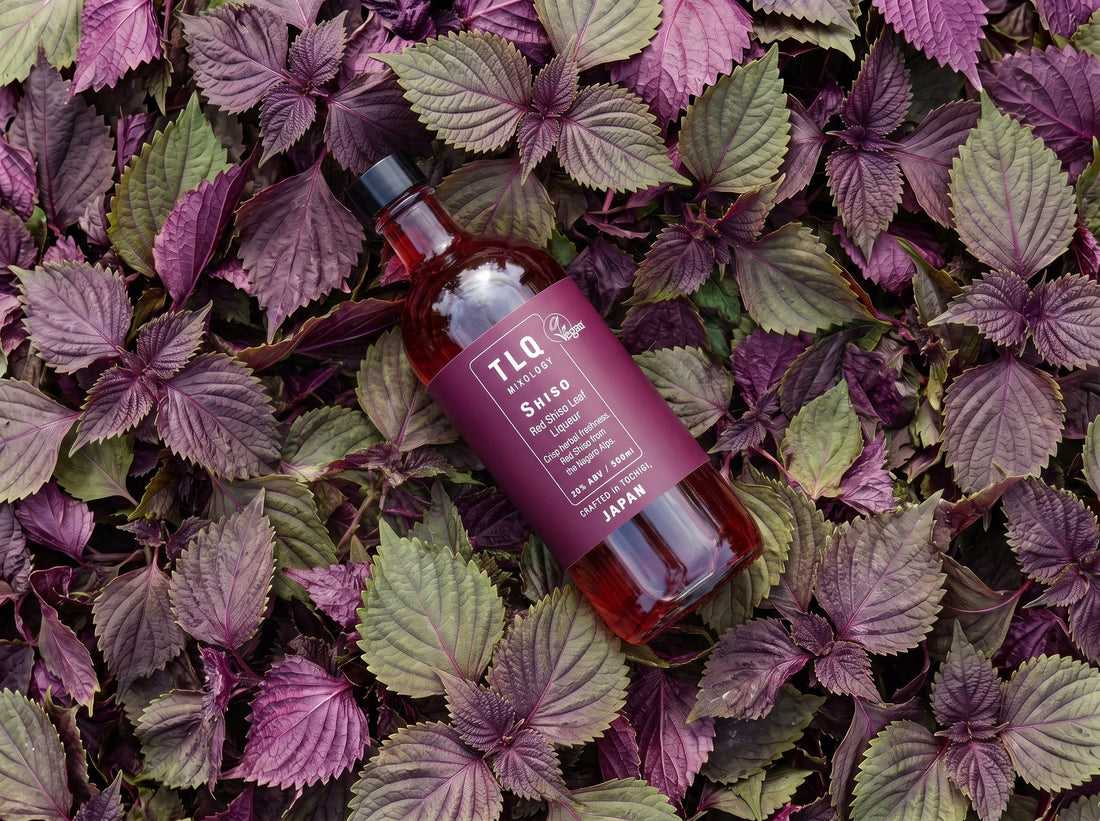 Red Shiso Liqueur – Grown in the Highlands of Nagano